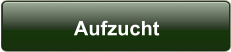 Aufzucht